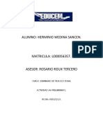 Aa Preliminar 1 (Seminario de Tesis Doctoral)