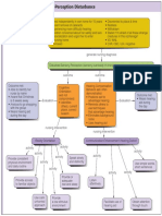 Concept Map: Sensory-Perception Disturbance