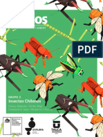 Cubios Insectos Chilenos Plantillas PDF