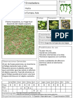 Hedera Helix.pdf