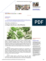 Umbanda em Movimento - A Magia Das Ervas e Das Plantas PDF
