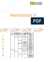 2. Nematodos II