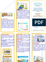 Ciclos Biogeoquimicos