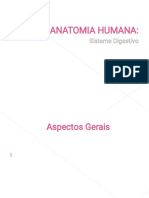 ANATOMIA HUMANA - SISTEMA DIGESTIVO.pdf