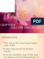 Chapter 8 Cell