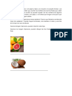 3 Frutas para Escribir