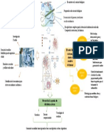 Biologia de Sistemas