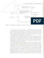 Capitulo 2 Alimentos fermentacion y   microorganismos.pdf