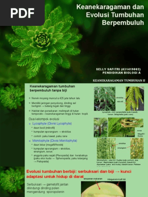 Evolusi Tumbuhan - Selly Safitri Pdf