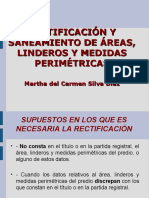 245876340-Rectificacion-y-Saneamiento-de-Areas-ppt