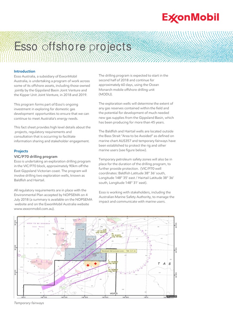 Offshore Drilling & Gas Projects | PDF | Exxon Mobil | Offshore Drilling