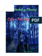 Hierbasyplanta PDF