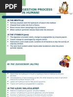 Download ASSIMILATION AND DIGESTIVE SYSTEM by ridwan SN4800672 doc pdf