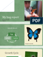 My Bug Report