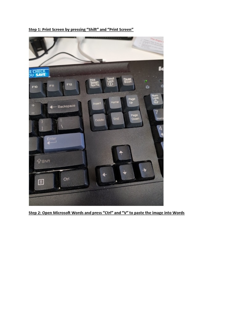 How to Capture and Paste Screenshots | PDF | Social Science