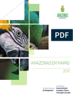 Amazonas em Mapas - 4 Edição - Ano 2020 PDF