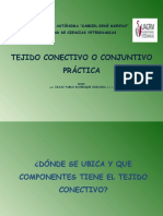 Prácticas Tejido Conectivo 1.2020