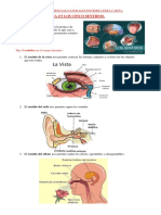 TEMA 5 y 6 CIENCIAS IV U.