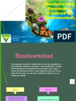 Semana2.Biodiversidad Ytransectos