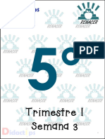 Trimestre I Semana 3