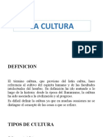 Definición, tipos y conceptos básicos de la cultura