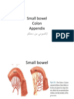 Small Bowel and Colon Conditions