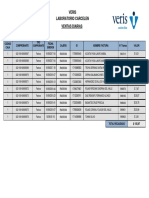 RPT Ventas Diarias PDF