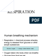 Respiration Form 3