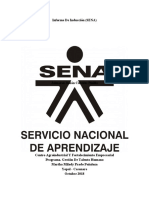 Informe de Induccion Sena
