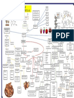 Mapa Bioquimica FINAL II