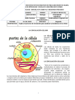 GUIA N°3 2°do. Per. BIOLOGIA 6°stos PDF