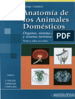 Anatomia Veterinaria Koning TOMO LL PDF