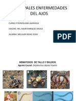 Enfermedades de Ajo