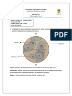 Reporte 4 Microscopia.pdf