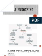 Sistema Endocrino PDF