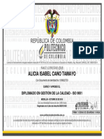 Diplomado Iso 9001