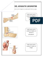 (Template) Lesiones Del Sistema Locomotor