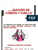 Irrigación Cabeza y Cuello