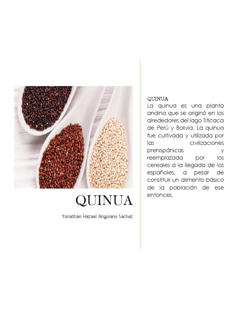 Historia de La Quinoa PDF Quinua Domesticación