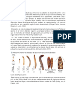 Fenología Uva de Mesa