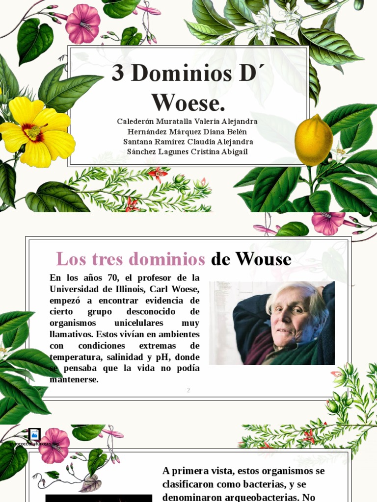 Los Tres Dominios | PDF | Archaea | Las bacterias