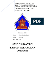 Laporan Praktikum Perkembangbiakan Pada Tumbuhan Singkong Secara Stek