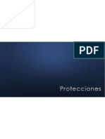 Protecciones Capítulo I PDF