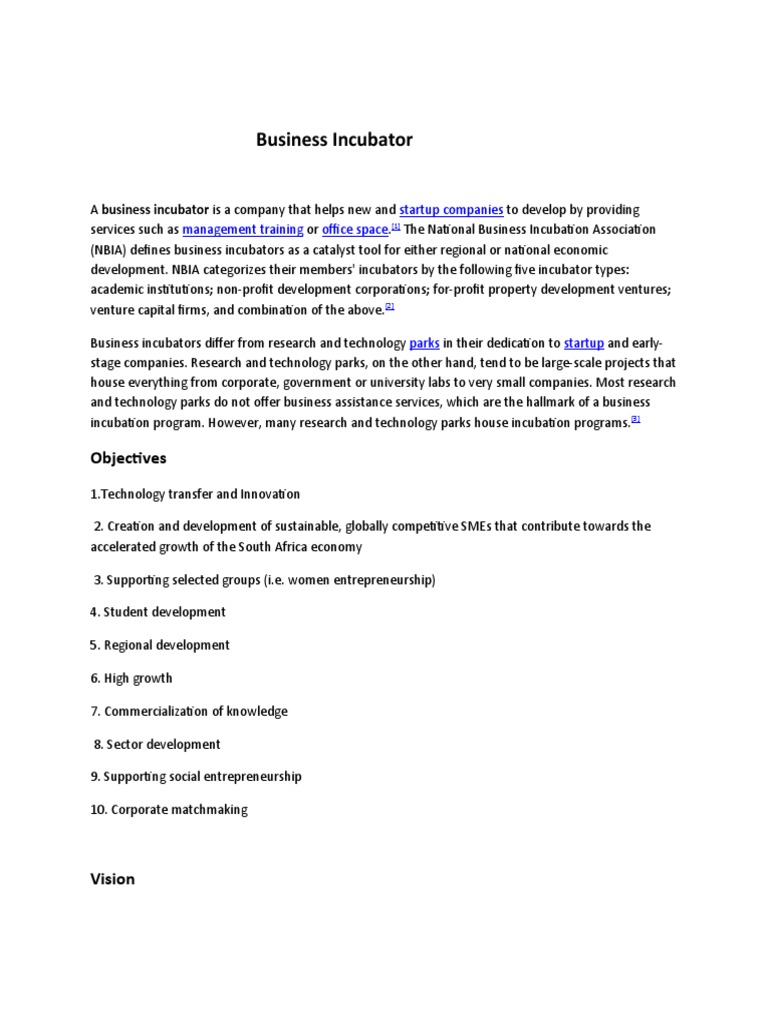 Understanding Business Incubators Their Role, Objectives, Vision, and