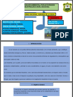 Monografía Ambiente