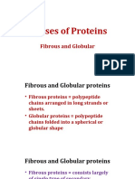 Classes of Proteins and Enzymes