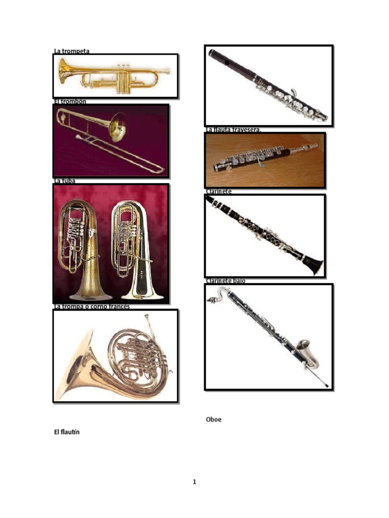 Album de Instrumentos de Cuerda y Viento | PDF | Arte