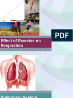 Effect of Exercise on Respiration Rate