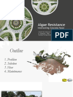 Algae Resistance Concrete Paver