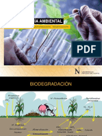 Bio - Degradacion - Remediacion - Transformacion